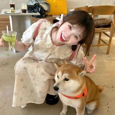 理想之城